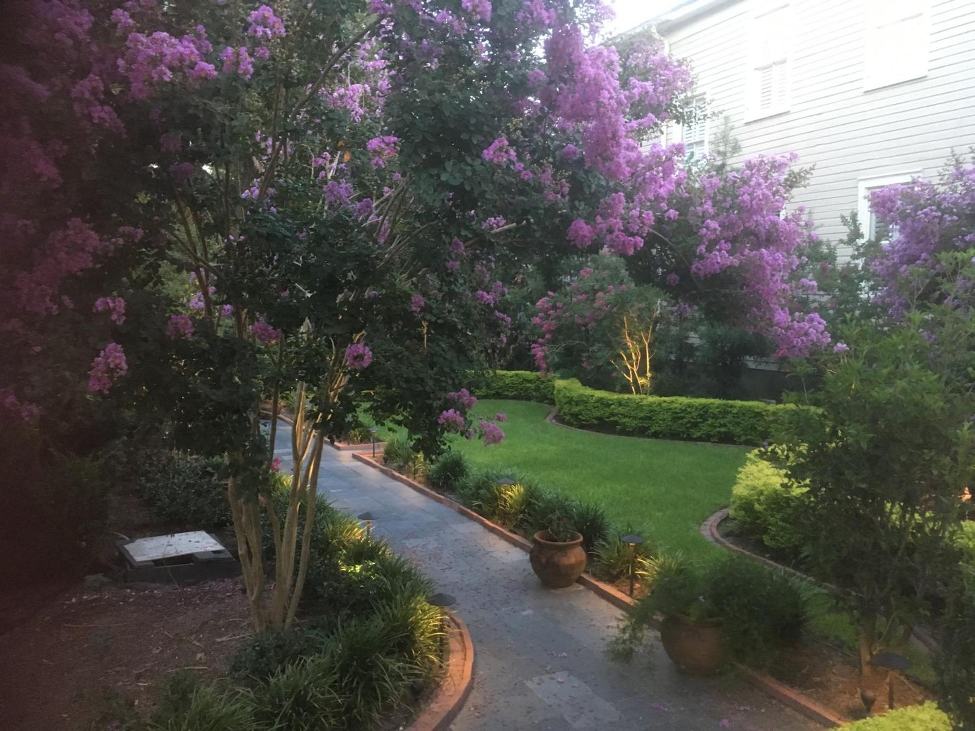22 Charlotte Bed & Breakfast Charleston Dış mekan fotoğraf