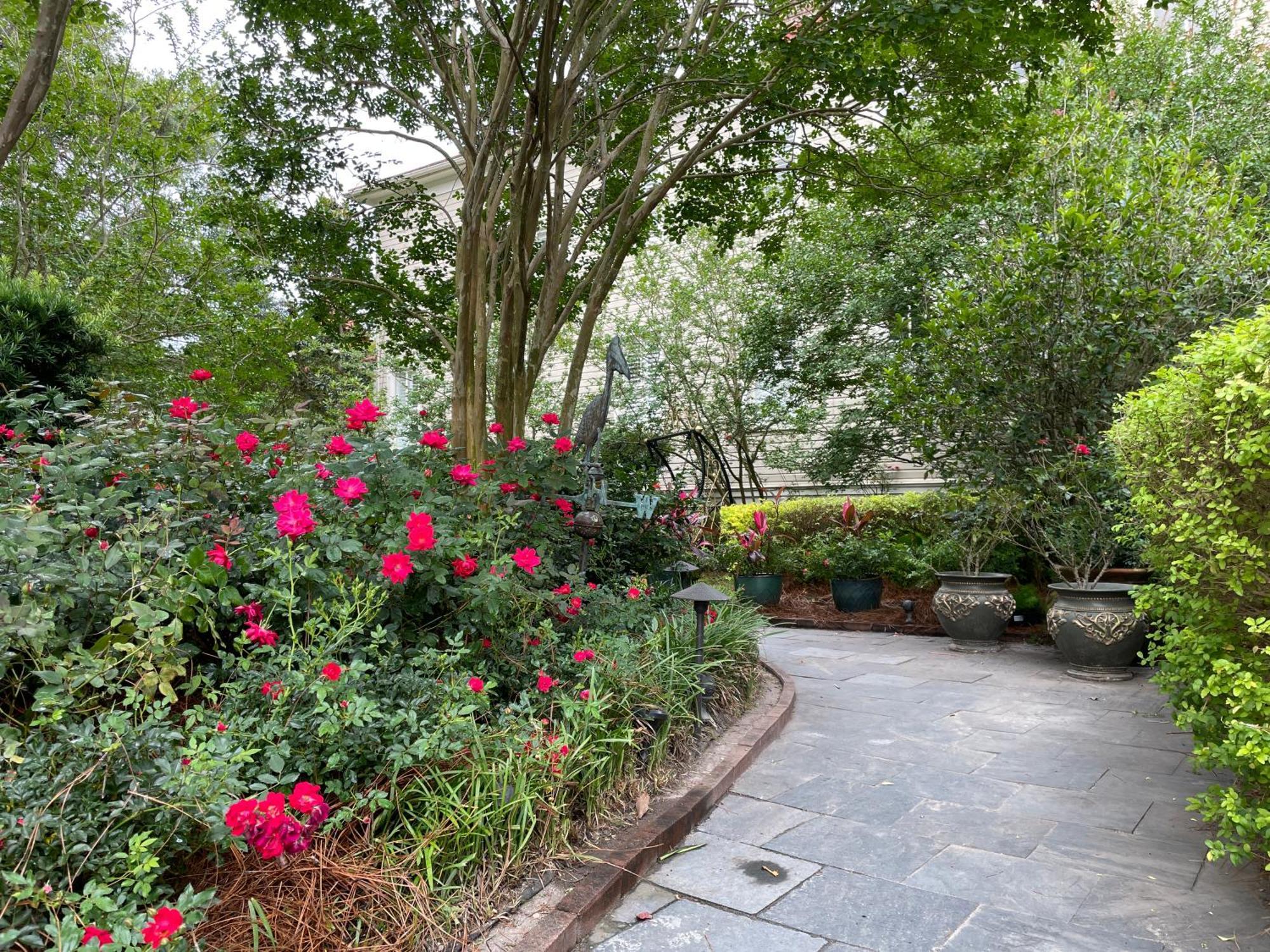 22 Charlotte Bed & Breakfast Charleston Dış mekan fotoğraf