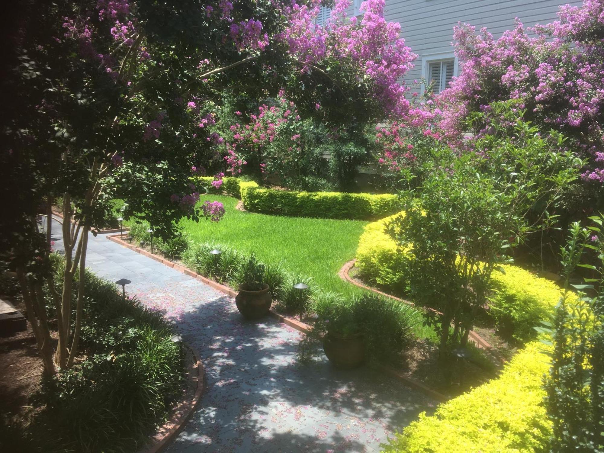 22 Charlotte Bed & Breakfast Charleston Dış mekan fotoğraf